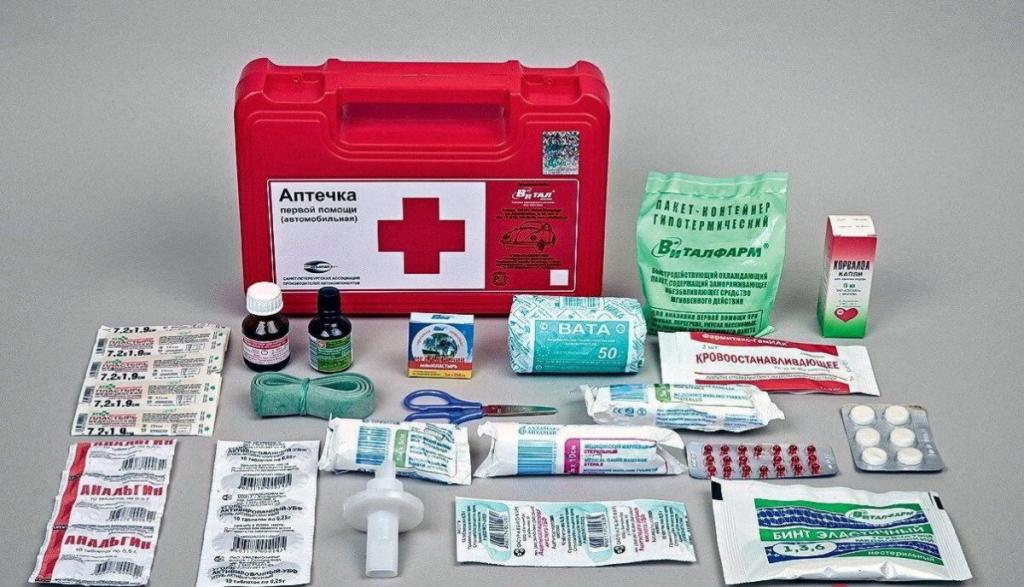 СФ одобрил закон, позволяющий включать лекарства в аптечки первой помощи